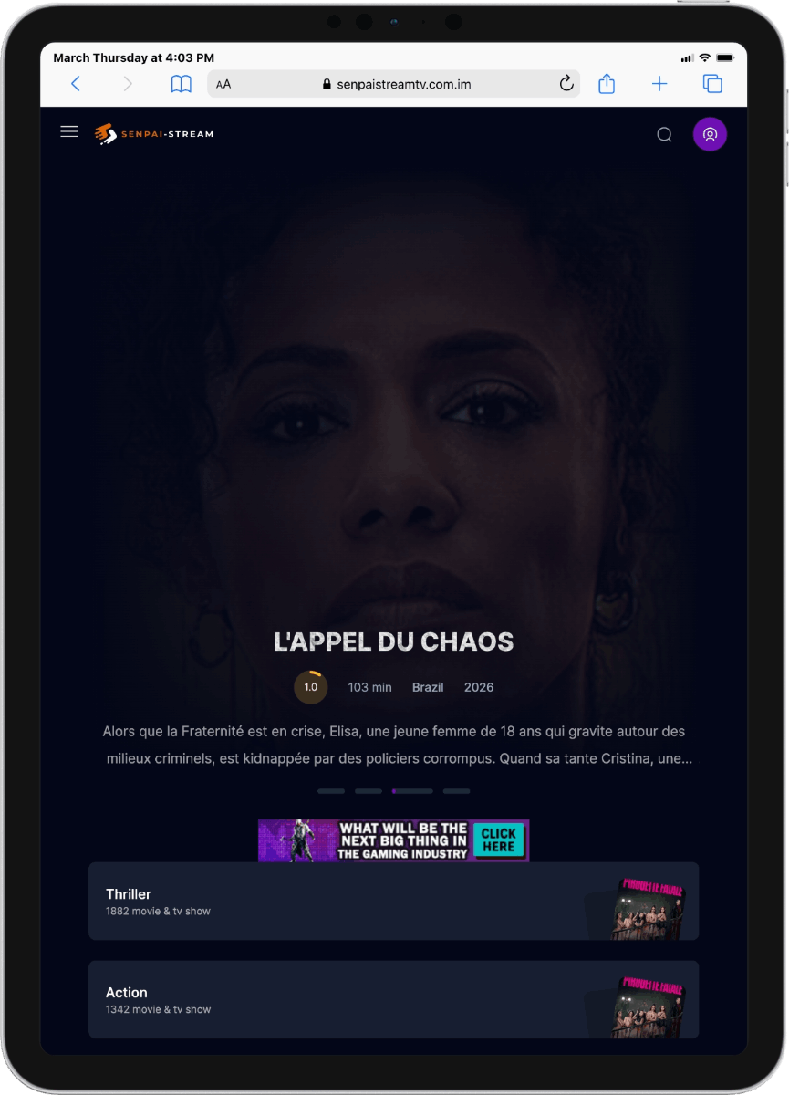 Interface Papadustream sur iPad