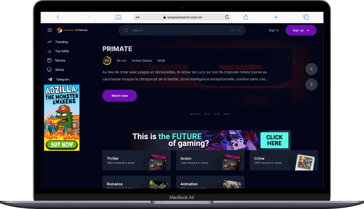 Interface Papadustream sur MacBook Air